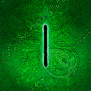 Dino_Rounded_Slit_Style_Eye_GREEN_JPEG.jpg