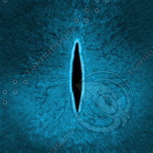 Dino_Slit_Style_Eye_BLUE_JPEG.jpg