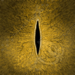 Dino_Slit_Style_Eye_BROWN_JPEG.jpg