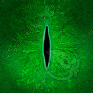 Dino_Slit_Style_Eye_GREEN_JPEG.jpg