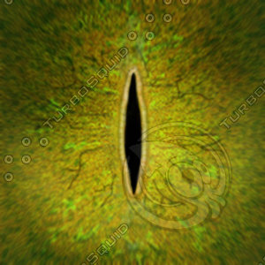 Dino_Slit_Style_Eye_JPEG.jpg