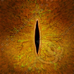 Dino_Slit_Style_Eye_ORANGE_JPEG.jpg