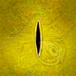 Dino_Slit_Style_Eye_YELLOW_JPEG.jpg