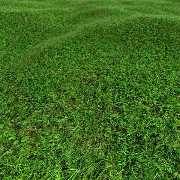 Texture JPEG grass lawn terrain