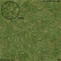 Nature - Grass