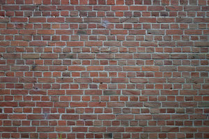 brickwall_nothern_germany.dng