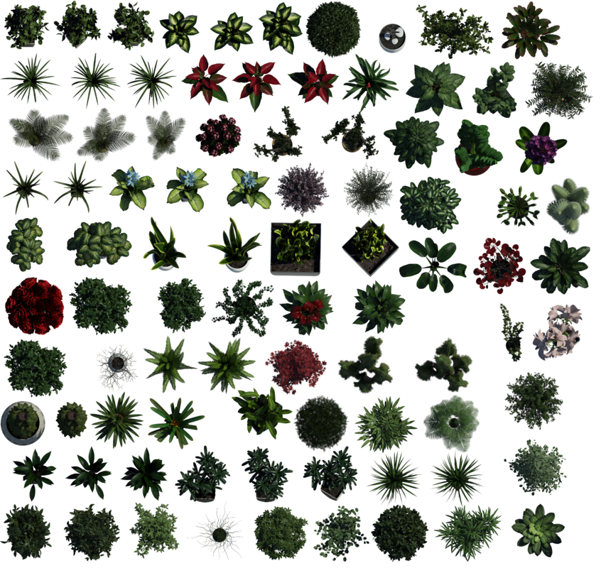 Texture Photoshop plants top plant