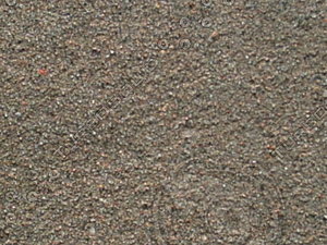 PICT0163.JPG