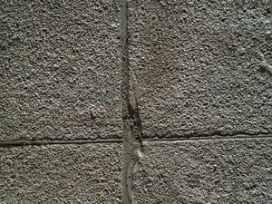 PICT0211.JPG