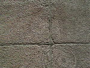 PICT0212.JPG
