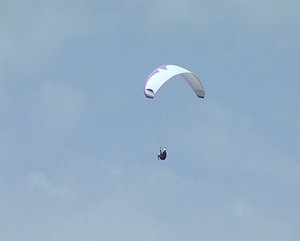 Paraglider