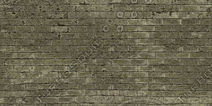 Roof_07