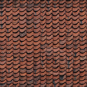 Roof_11