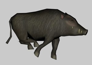 boar_bip_fig_CS2_2-max9