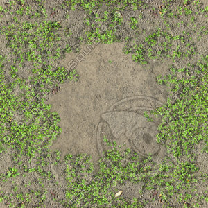 Clover ground covering with a large dirt patch texture