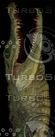 crocodile_11.jpg