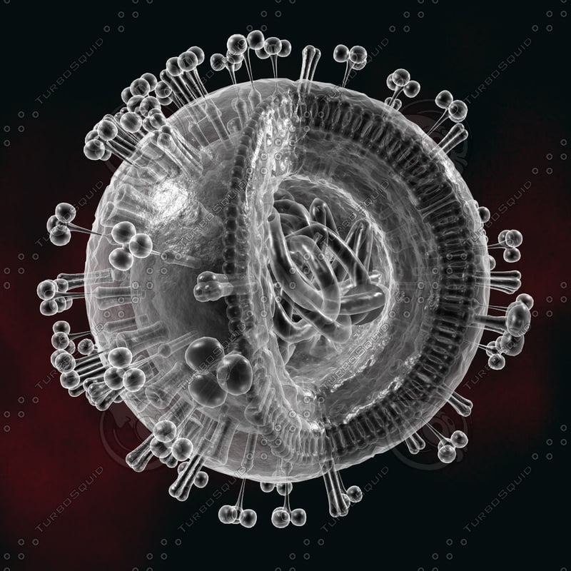  https://static.turbosquid.com/Preview/2014/08/01__18_43_57/h1n1_008.jpgd629e92c-357f-4723-94e2-208668498d9dOriginal.jpg