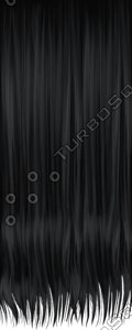 Hair Texture
