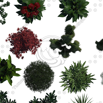 Texture Photoshop plants top plant