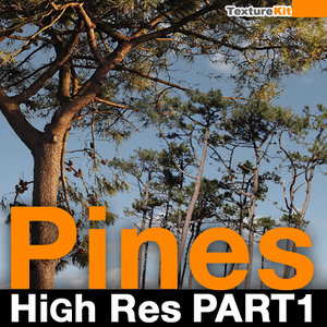 Pines High Res Part 1
