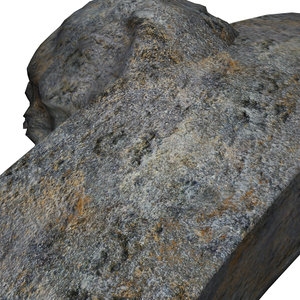 Rocks lichen