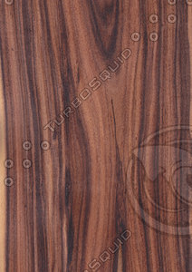 Rosewood Veneer Texture