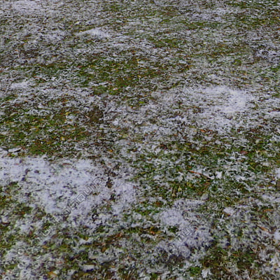 Texture JPEG snow grass texture