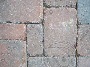 vlm_path001(1)