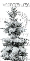 Snow covered wintertree