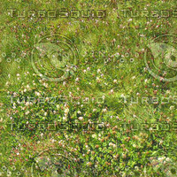 Texture Windows Bitmap grass ground green