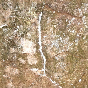Mossy Rock Facing