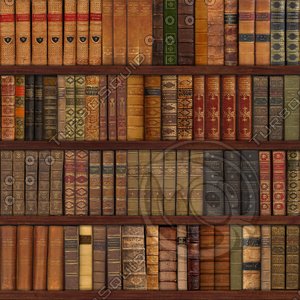 87 Leather Books On Shelves
