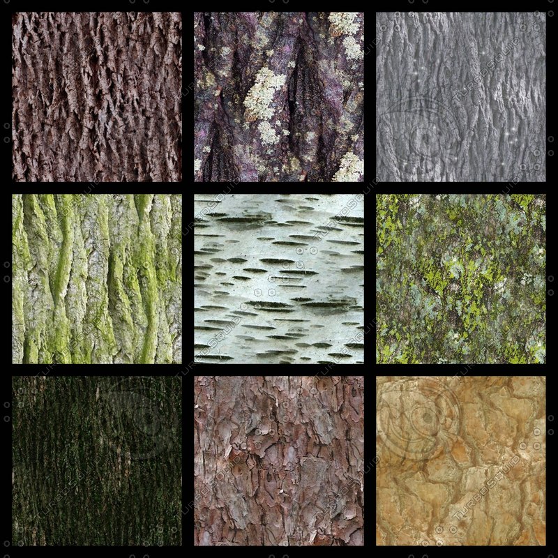 Texture JPEG bark seamless textures