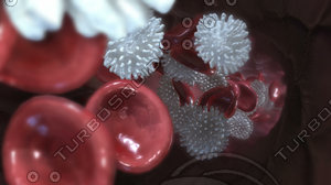 Blood Cells Traveling
