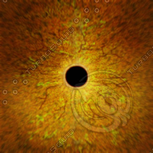 Dino_Round_Pupil_Style_Eye_ORANGE_JPEG.jpg