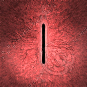 Dino_Rounded_Slit_Style_Eye_RED_JPEG.jpg