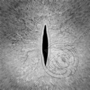Dino_Slit_Style_Eye_SPEC_DIFF_JPEG.jpg