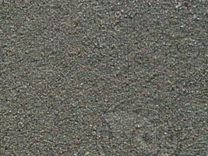PICT0164.JPG