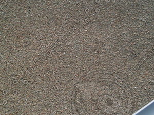 PICT0165.JPG