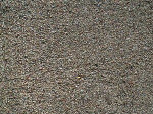 PICT0167.JPG