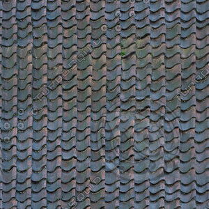 Roof_06