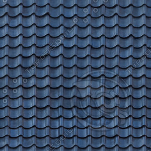 Roof_10