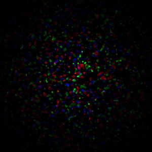 Sea of Blobs