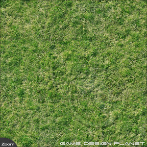 High Quality Grass