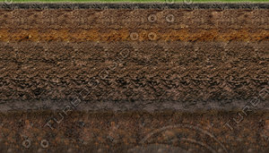 GRASS SOIL LAYERS