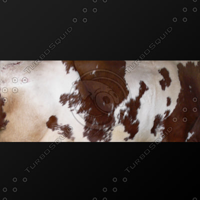  https://static.turbosquid.com/Preview/2014/08/01__19_04_23/fur23_mrk1.jpgb63b0058-ea88-4042-aee7-02b12e4b0a5bLarger.jpg