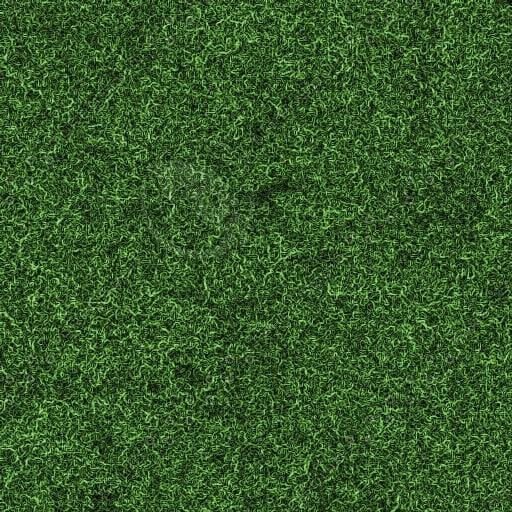 grass texture lawn