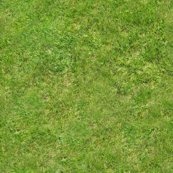 Texture JPEG grass Tileable outdoors