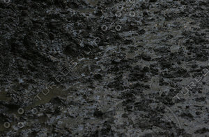 Mud swamp