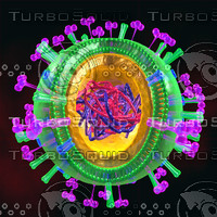 swine flu h1n1 virus
